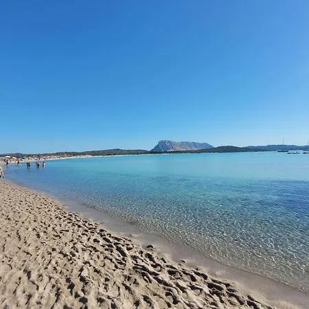 Le Di Lu Fraili